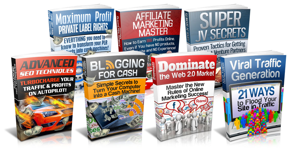 7 Marketin g Manuals - start a wildly successfull online business